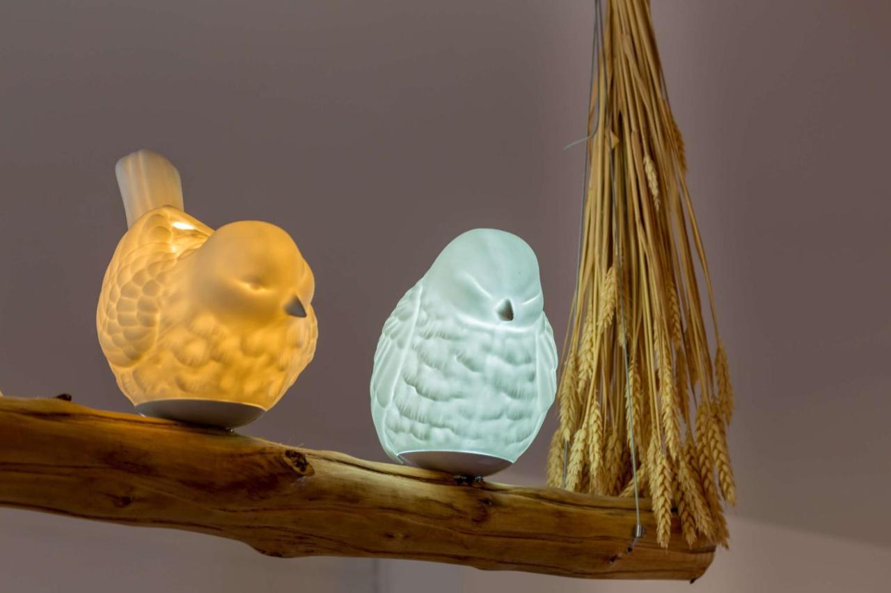 L'Oiseau Blanc ~ Centre Ville ~ Arrivee Autonome بلْوا المظهر الخارجي الصورة